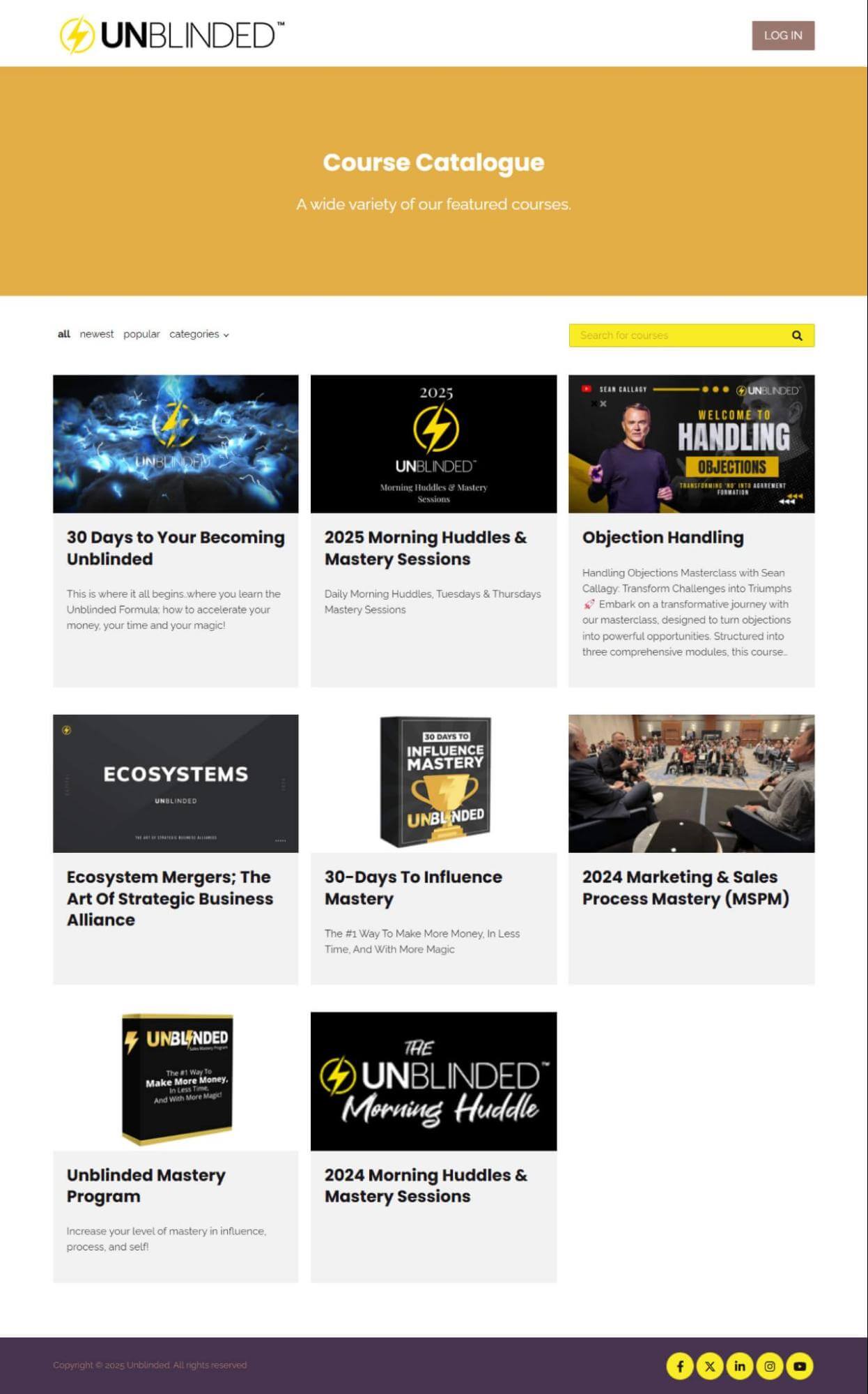 Unblinded Mastery academy with course catalogue and program examples