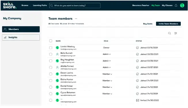 a screenshot of Skillshare's teacher company platform showing team members and admin.